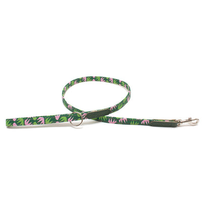 Combs skinny classic dog lead