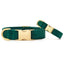 Forest green velvet dog collar