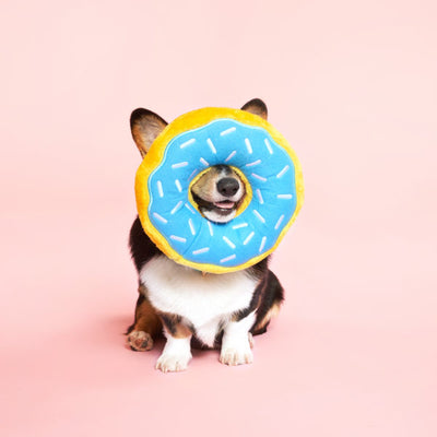 Zippy paws Jumbo donutz - Blueberry | Aesthetic dog toys
