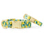 Lemon zest dog collar