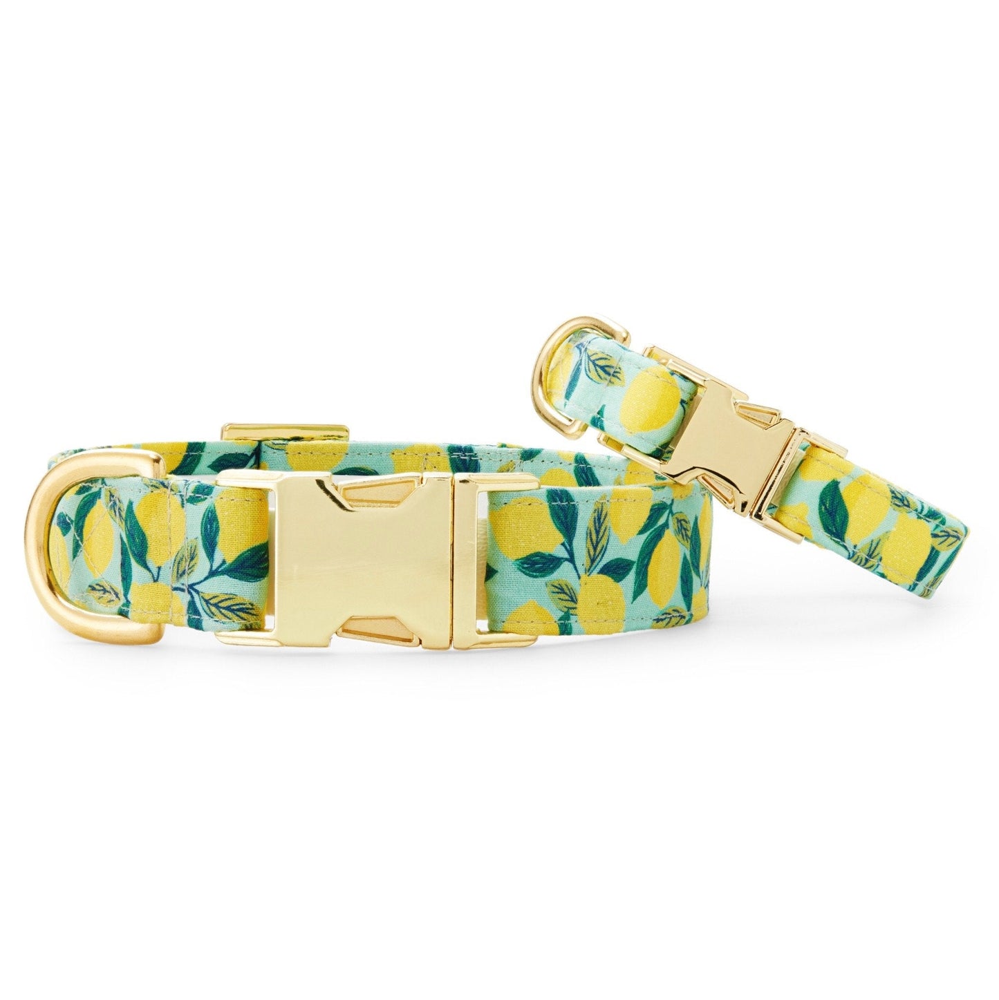 Lemon zest dog collar