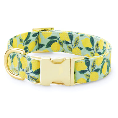 Lemon zest dog collar