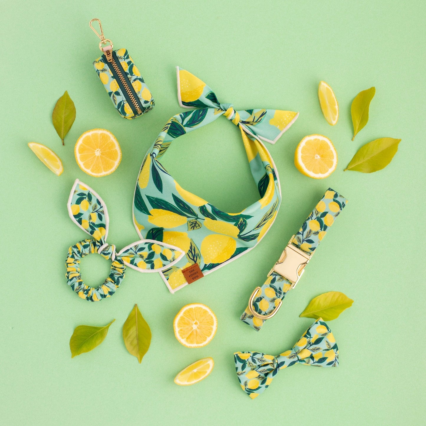 Lemon zest dog collar