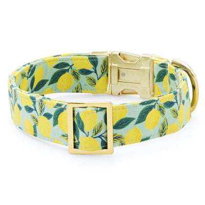 Lemon zest dog collar