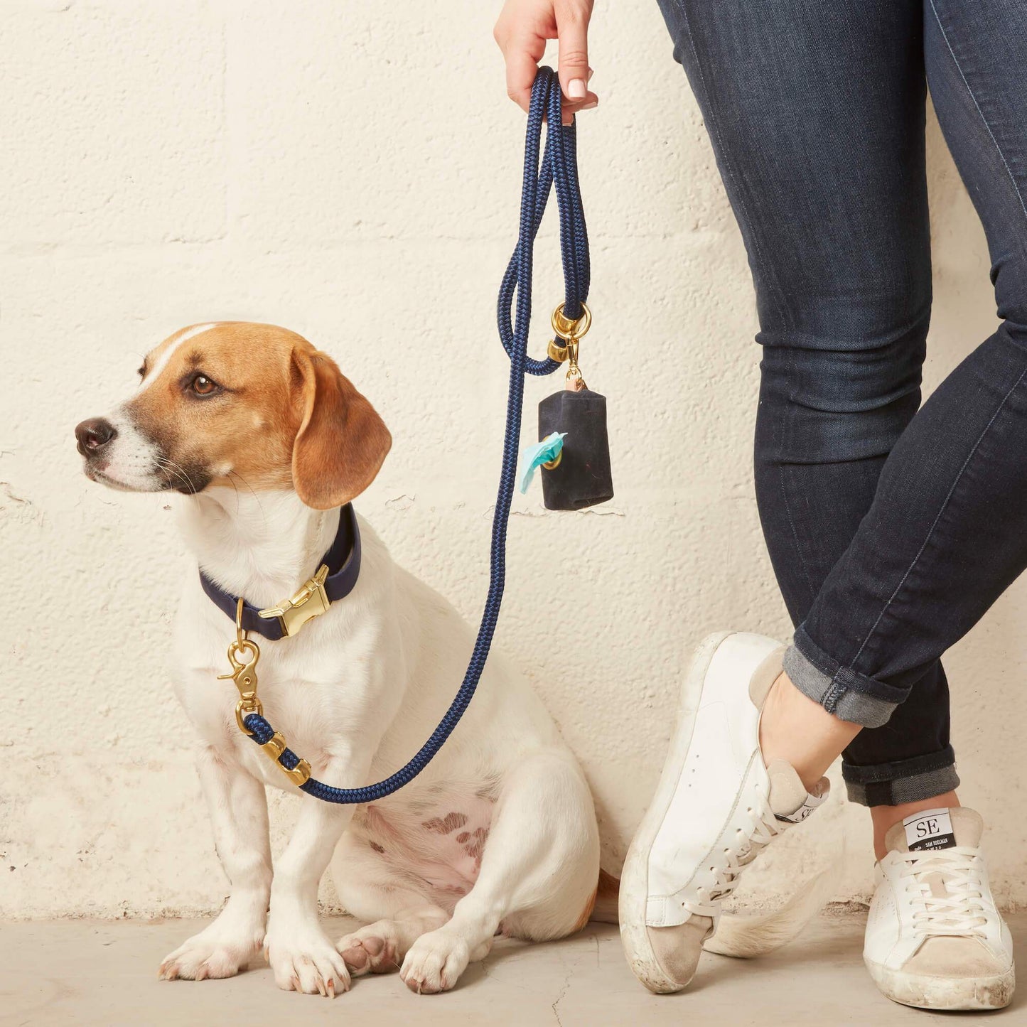 Ocean dog collar