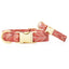 St. frank chevron kilim boho dog collar