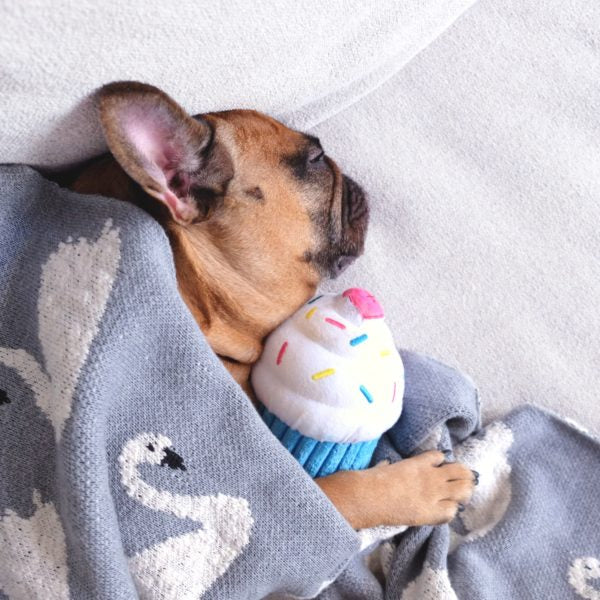 Zippy Paws : Cupcake blue aesthetic dog toy
